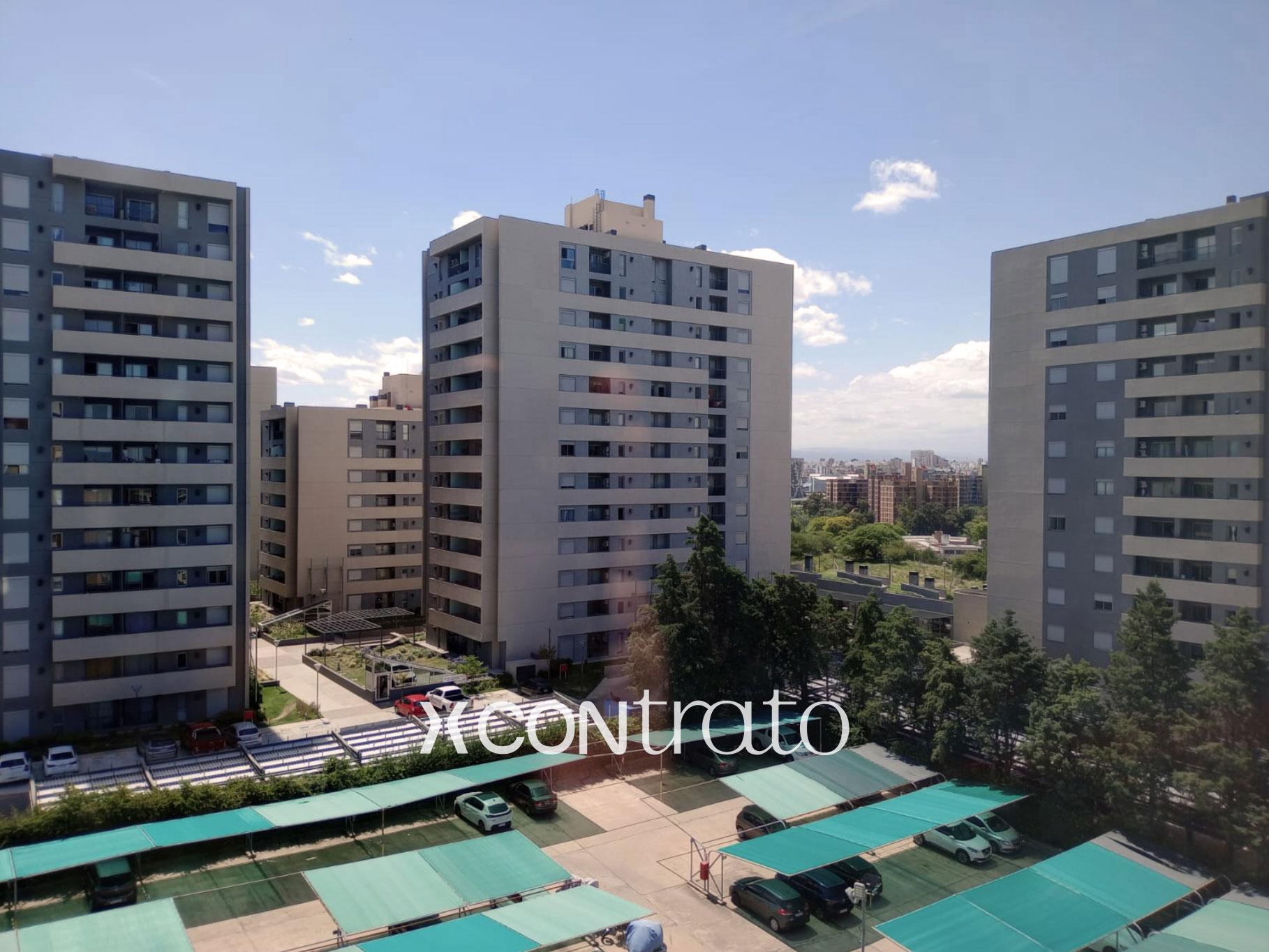 Milenica Universitaria