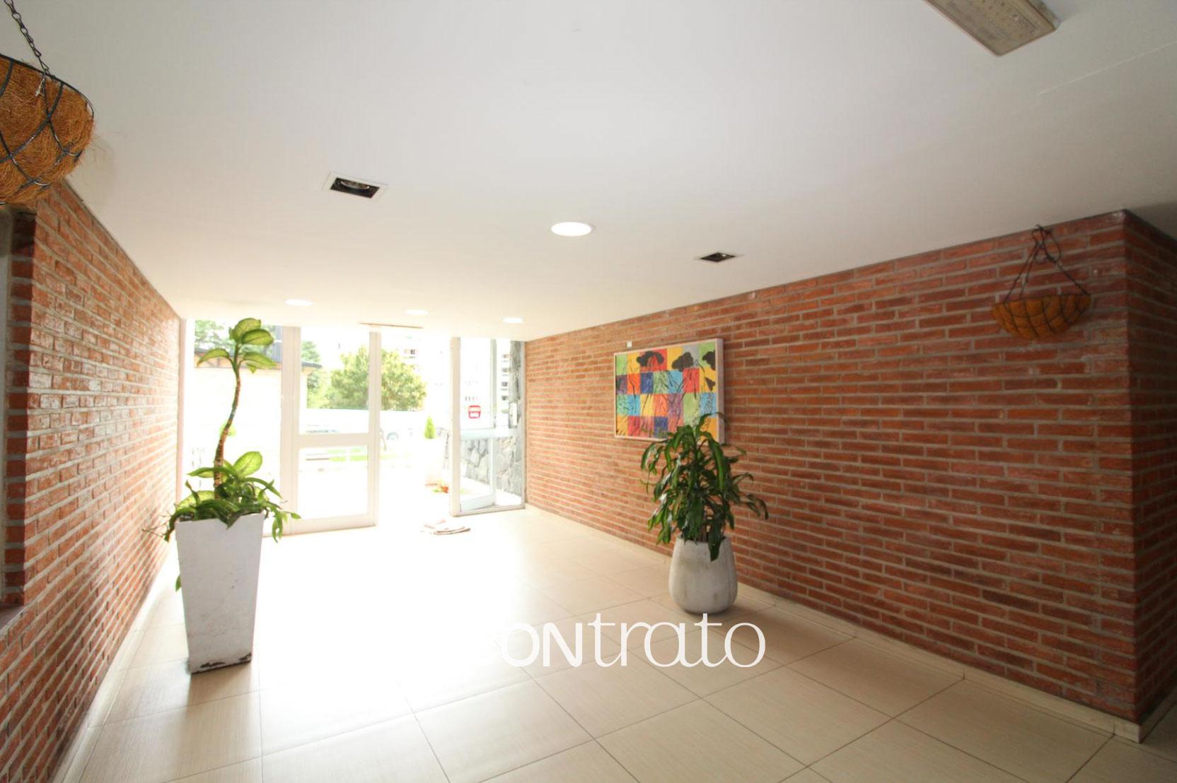 Milenica Universitaria